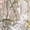 Grey, variant on Milly womens Tahlia Floral Sequins Embroidery Dress, 4, Grey