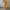 Yellow, variant on Levmjia Jumpsuit for Women Clearance Plus Size Casual Overalls Sleeveless One-Piece Waist Suspenders Leggings Jumpsuits