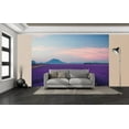 thumbnail image 2 of Ideal Décor Provence France Wall Mural, 2 of 3