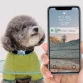 thumbnail image 3 of Collier pour Animaux de Compagnie Jour du Canada Portée Illimitée Dispositif de Perte de Chat Chien Localisateur Intelligent Collier pour Animaux Adapté pour FindMy Mes Articles, 3 of 6