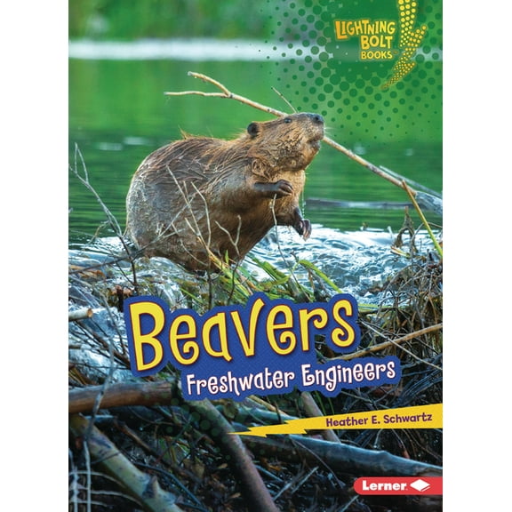 Lightning Bolt Books (R) -- Ecosystem En Beavers: Freshwater Engineers, (Paperback)