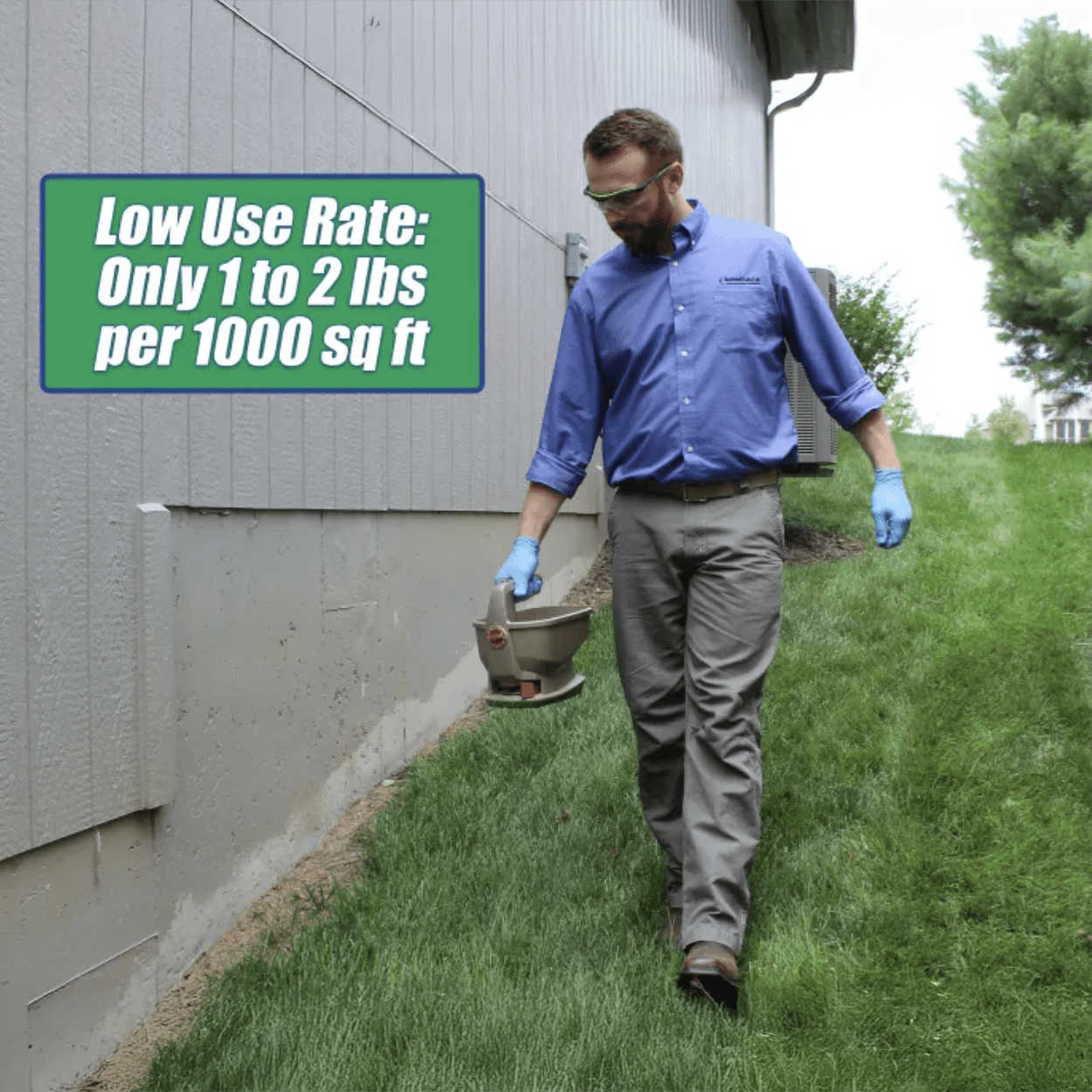 EcoVia G Granular Insecticide - 10 lb Bag by Rockwell Labs