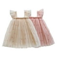 thumbnail image 4 of Hiijoy Infant Girls Tulle Dress Sleeveless Mesh Princess Tutu Dress, Sizes 6M-6Y, 4 of 4
