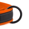 thumbnail image 4 of Pet Artist Soft Padded Personalized Dog Collar Reflective Nylon Heavy Duty Buckle Custom Name for Pets, 4 of 12