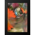 thumbnail image 2 of Westum, Heidi 13x18 Black Modern Framed Museum Art Print Titled - Floral Sphere, 2 of 5