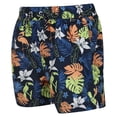 thumbnail image 3 of Regatta Boys/Girls Skander II Tropical Swim Shorts, 3 of 6