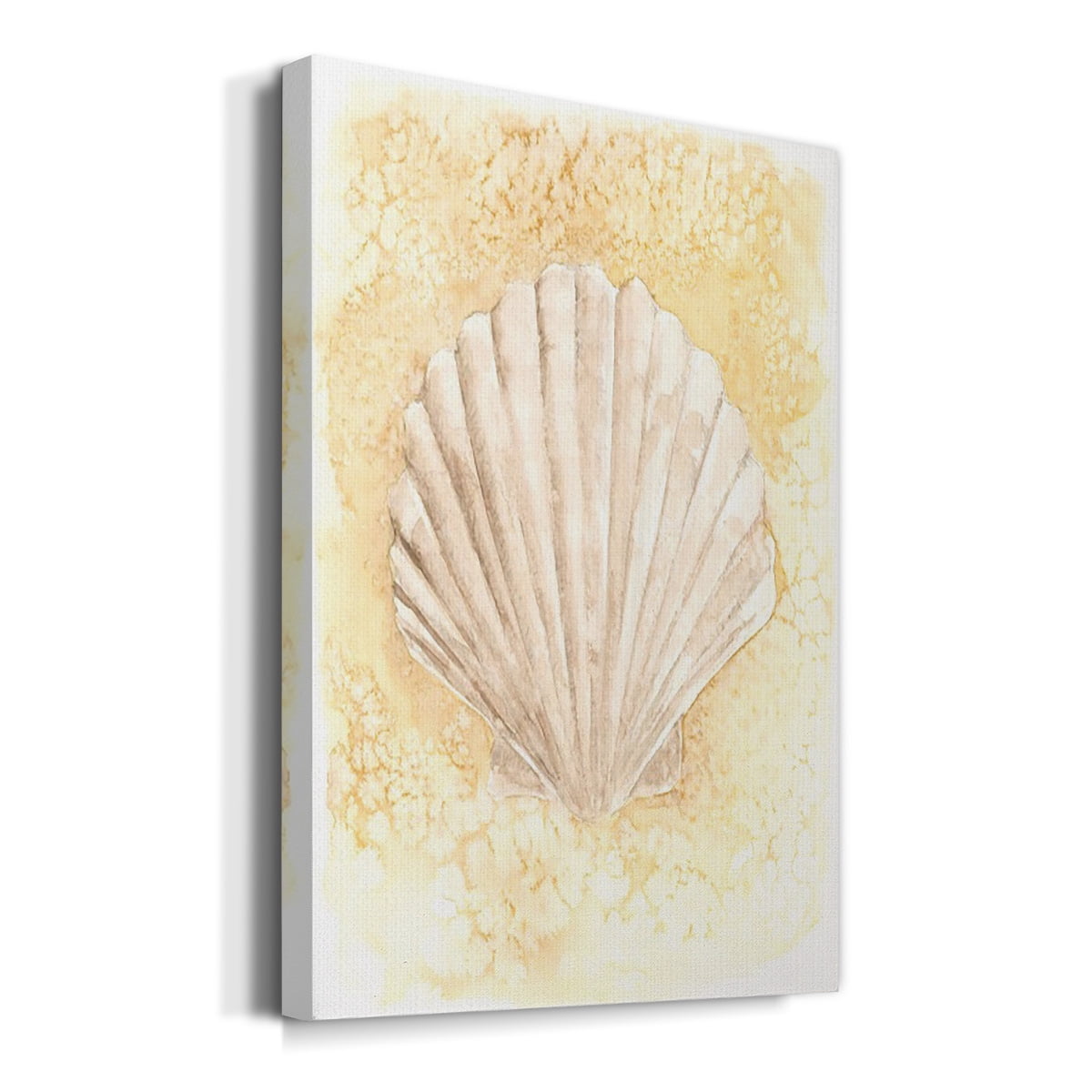 Salty Seashell II Premium Gallery Wrapped Canvas - Ready to Hang