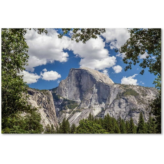Trademark Fine Art "Yosemite Half Dome" Canvas Art by Pierre Leclerc