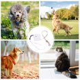 thumbnail image 3 of QUMIIRITY 1Set Retractable Dog Tie Out with Portable Design for Pet Owners, 3 of 6