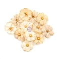 thumbnail image 1 of PRIMA MARKETING INC Prima Flowers® Pretty Pale Collection- Windblown UPC 655350637637, 1 of 1