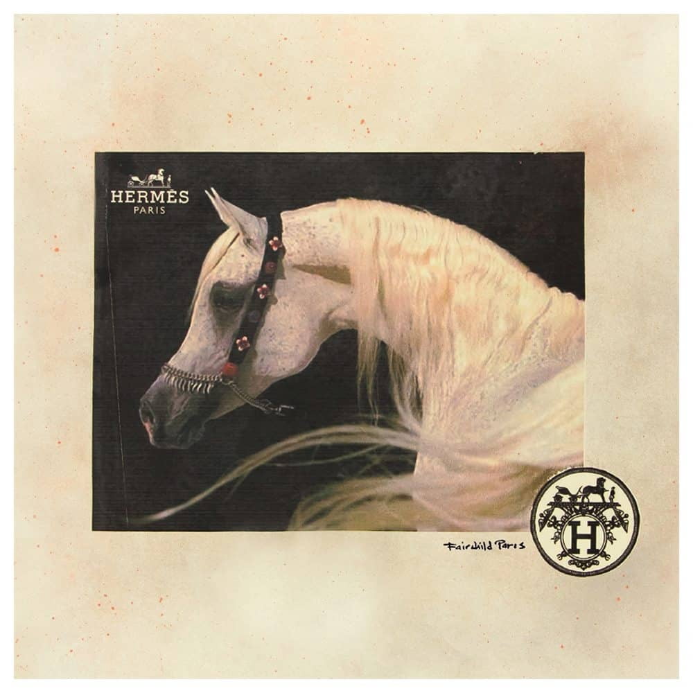 BEAUTIFUL FASHION WHITE HORSE - 14"x14" Canvas Artwork - Multi-Color 16 x 20