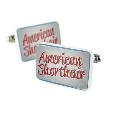 Cufflinks American Shorthair, Cat Breed United StatesPorcelain Ceramic NEONBLOND