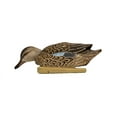 thumbnail image 5 of AVIAN-X Topflight Blue-Winged Teal Durable Ultra Realistic Floating Hunting Duck Decoys, Pack of 6, AVX8080, 5 of 9