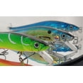 thumbnail image 2 of Fishing Lures Large Hard Bait Minnow VIB Lure with Treble Hook Life-Like Swimbait Fishing Bait 3D Fishing Eyes Popper Crankbait Vibe Sinking Lure for Bass Trout Walleye Redfish, 2 of 10