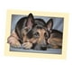 thumbnail image 1 of Kit de bordado y pintura de diamantes 5D DIY con temática de animales., 1 of 6