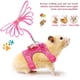 thumbnail image 5 of Arnés y correa para paseo al aire libre para animales pequeños, con lazo bonito y decoración de campana transparente, correa para el pecho, arnés para conejo, hurón, conejillo de indias,, 5 of 8