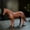 B, variant on Purple Clay Tea Pet Sculpture Crafts Tea Set Decoration Accessories Chinese Zodiac Horse Statue Ornaments