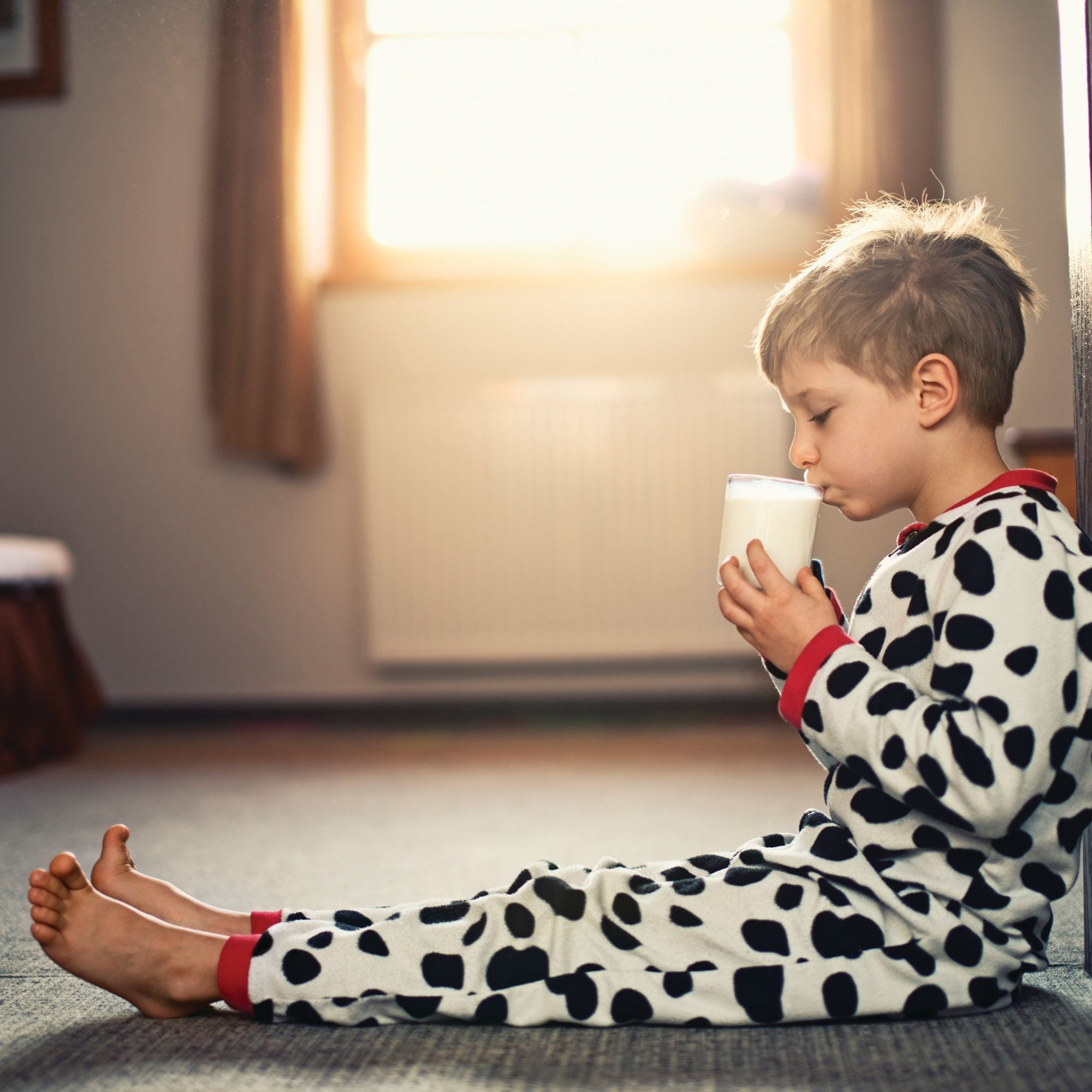 Scotsburn 2% Partly Skimmed Milk