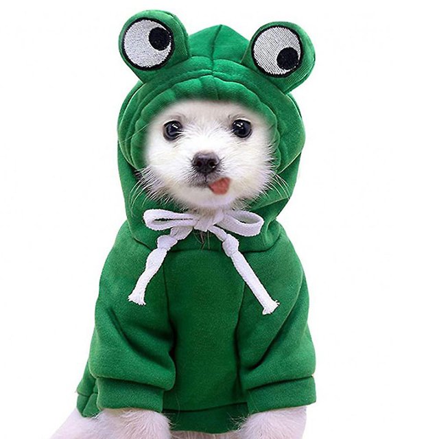 style3 2 piezas de ropa para perros de otoño e invierno, Sudadera con capucha, ropa para gatos, ropa bonita, suéter con forma de rana