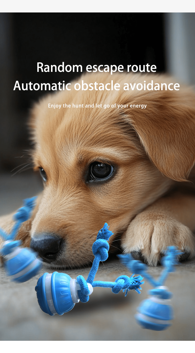 Interactive Dog Toys Ball, Fun Moving Motion Activated Dog Ball Toys to Keep Them Busy, Rechargeable Smart Automatic Rolling Dog Ball for Small Puppy Dogs