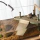 thumbnail image 5 of Tanque de cría de tortugas con plataforma de secado al sol paisajismo ecológico, 5 of 8