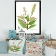 thumbnail image 3 of Designart 'Ancient Brazilian Plant V' Traditional Framed Art Print, 3 of 4