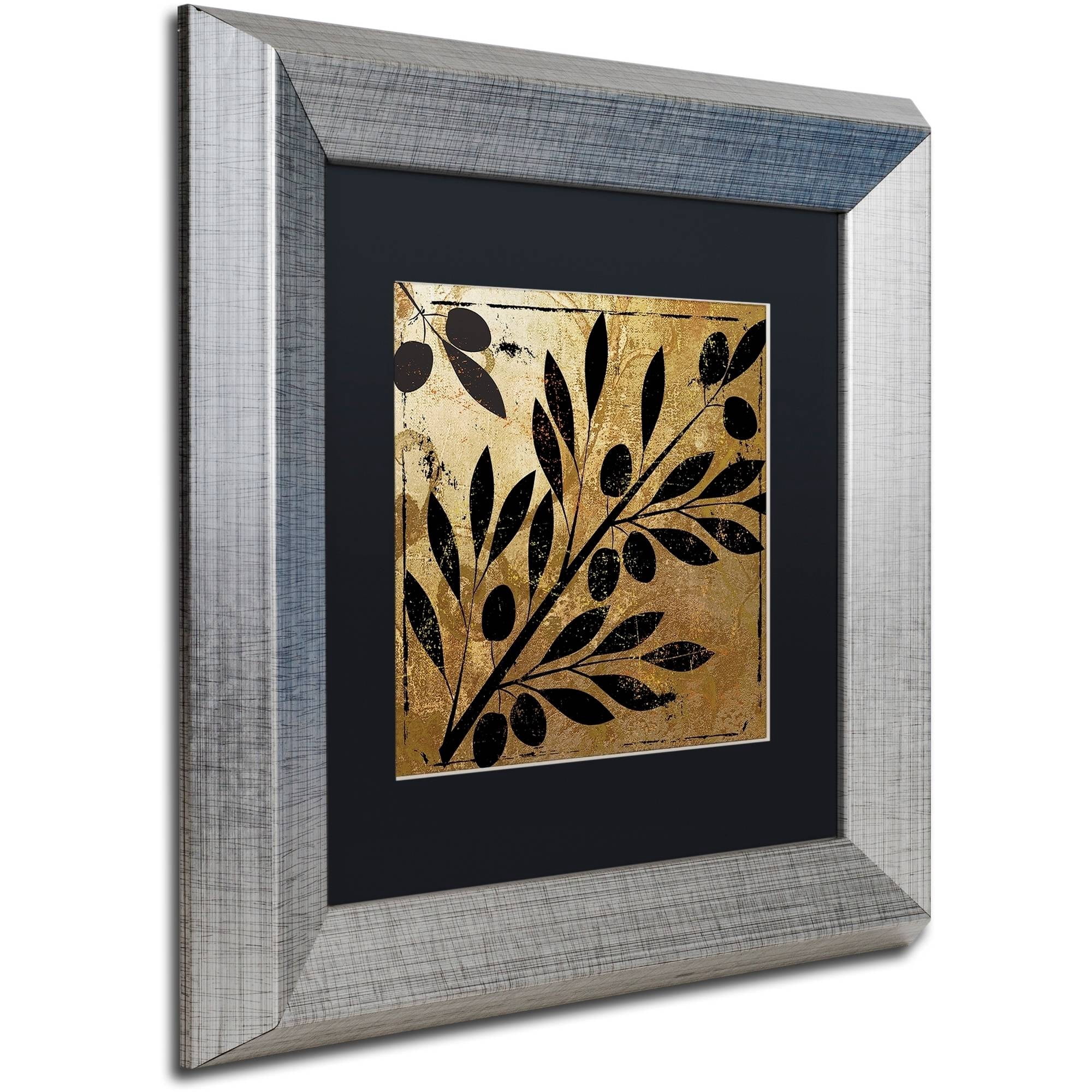 Trademark Fine Art "Bellissima II" Canvas Art by Color Bakery Black Matte, Silver Frame