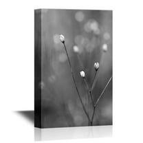 wall26 Canvas Wall Art - Flower in Black and White - Gallery Wrap Modern Home Art | Ready to Hang - 12x18 inches