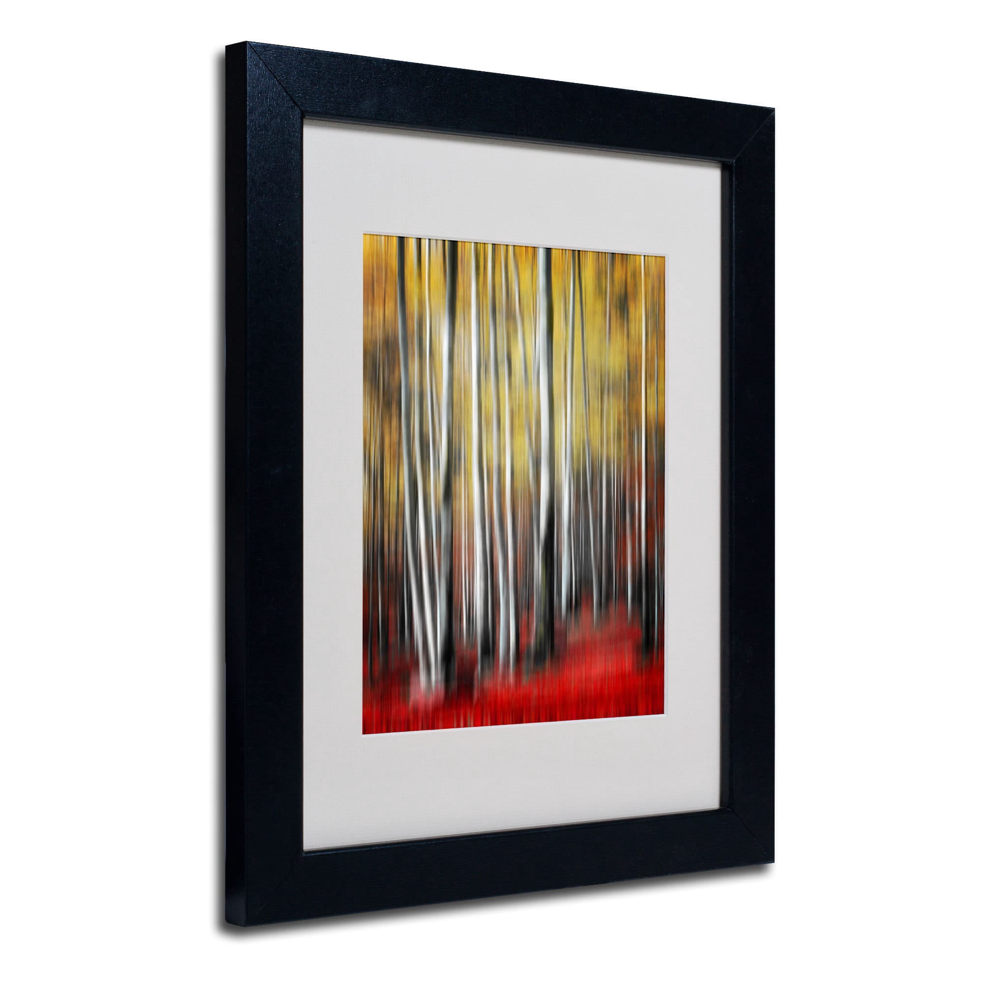 Trademark Fine Art "Osmosis" Canvas Art by Philippe Sainte-Laudy, Wood Frame