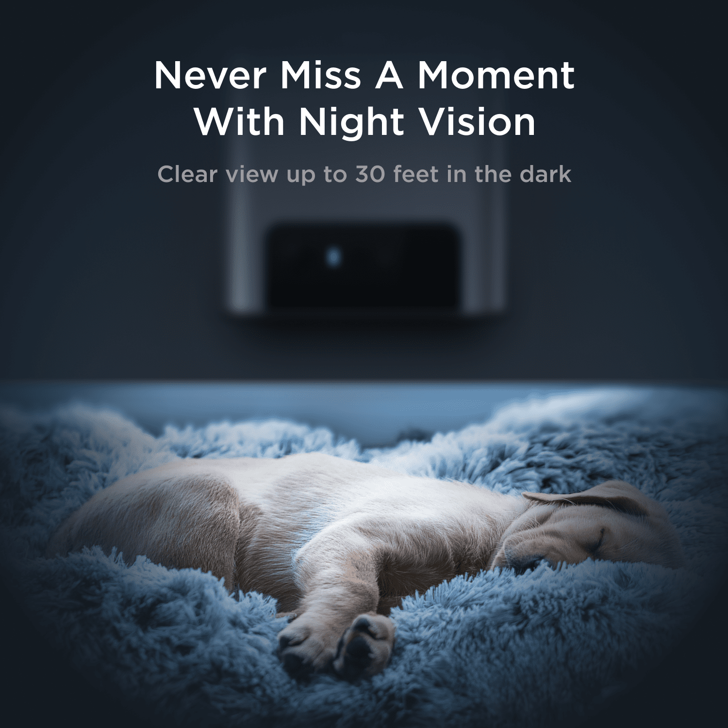 Petcube Bites 2 Lite WiFi Pet Camera with Treat Dispenser, 1080p HD Video, Two-Way Audio, Night Vision, Motion & Sound Alerts, Dog & Cat Monitor with App