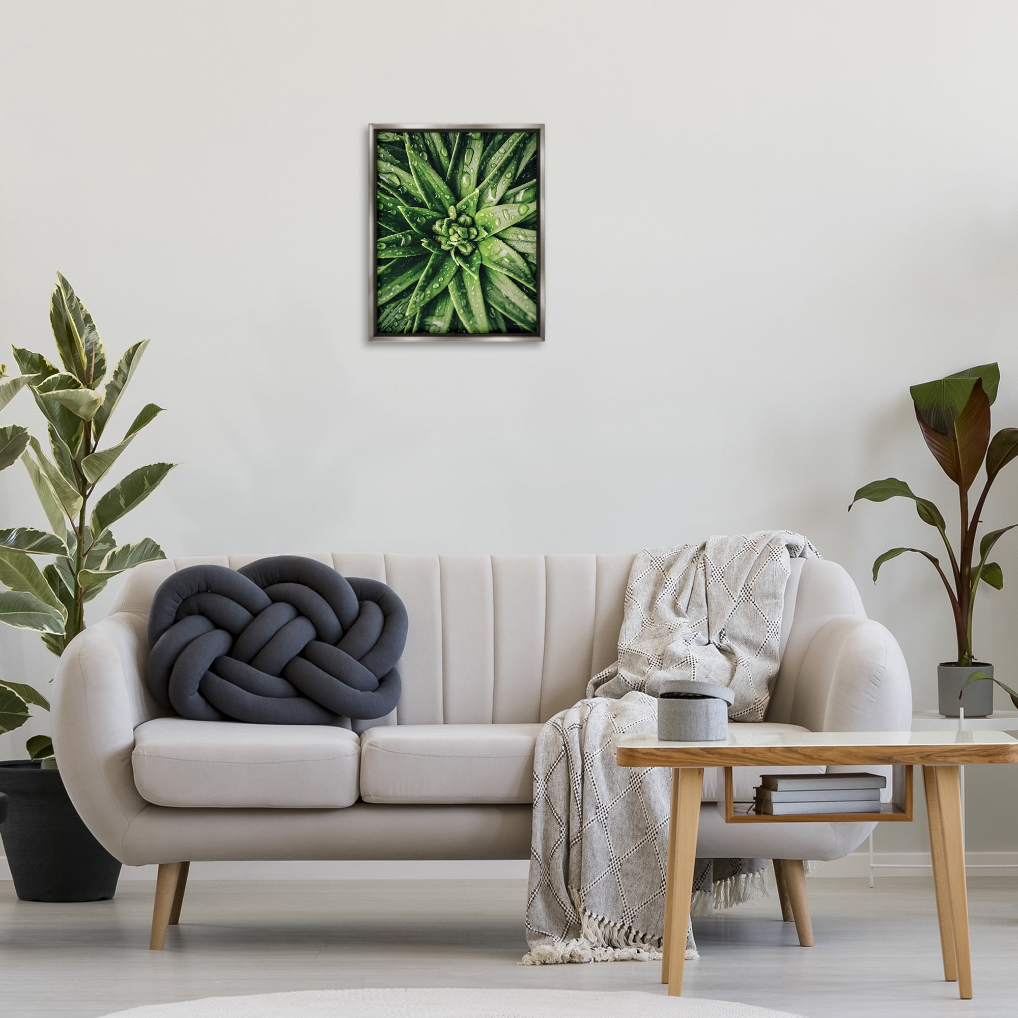 Stupell Industries Succulent in Rain Botanical & Floral Photography Gray Floater Framed Art Print Wall Art, 17 x 21