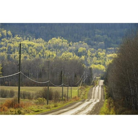 Posterazzi DPI1877060LARGE une Route de Campagne avec des Fils Électriques le Long de Celui-Ci - Thunder Bay, Ontario, Canada Affiche Imprimée, 38 x 24 - Grand