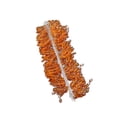 thumbnail image 4 of 20 piezas de cuentas acrílicas para de flores, adornos para regalos, ramas de flores Naranja, 4 of 8