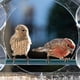 thumbnail image 5 of Bird Feeder, Acrylic Clear Window Bird Feeder, Tray Bird Garden Pet Feeder, 5 of 5