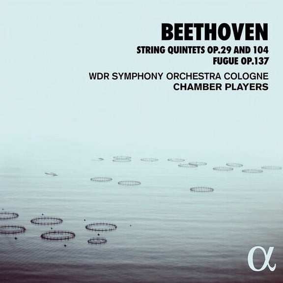 Beethoven - String Quintets 29 & 104 - Music & Performance - CD