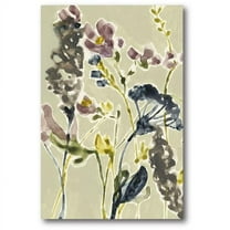 Courtside Market WEB-CE148-24x36 24 x 36 in. Parchment Flower Field I Gallery-Wrapped Canvas Wall Art