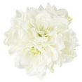 thumbnail image 3 of Pure Garden Lily Floral Arrangement with Glass Vase - Cream, 3 of 5