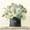Unframed, variant on Art.com Tulips in Hatbox Shiplap Art Print by Danhui Nai, 16" x 16"