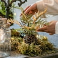 thumbnail image 3 of Artificial Fern Ball Faux Plant Fall Color, 3 of 7