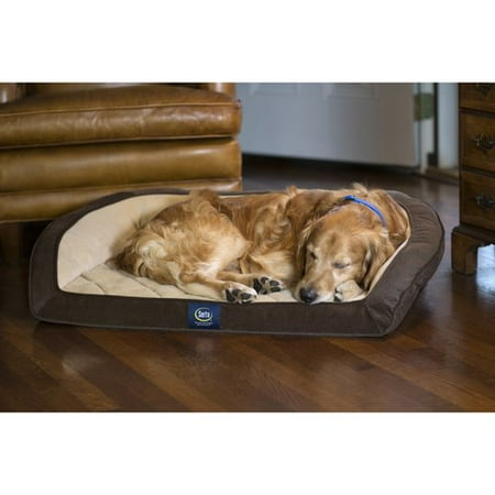 Sertapedic Dog Bed Reviews Sertapedic Dog Bed Reviews