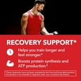 thumbnail image 6 of Havasu Nutrition L-Arginine Capsules with Pine Bark Extract, Nitric Oxide Supplement, 1800mg, 90 Count, 6 of 10