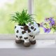 thumbnail image 3 of Maceta de vaca para suculentas | Contenedor de flores animales de resina | Linda decoración de jardín interior y exterior | Resistente a la intemperie | Soporte para plantas caprichoso único | 190 g, 3 of 7
