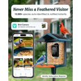 thumbnail image 2 of Comedero para pájaros con cámara alimentada por energía solar 2K para observación de aves, 2 of 8
