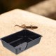 thumbnail image 4 of Nestingho Cueva Para Reptiles En Plástico Negro Para Y Refugio En Acuarios, 4 of 8