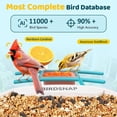 thumbnail image 2 of Comedero para pájaros Birdsnap TUC 2K HD, cámara solar AI de 32 GB, 2 of 9
