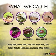 INSECT ELIMINATR 1/2ACRE (Pack of 1)