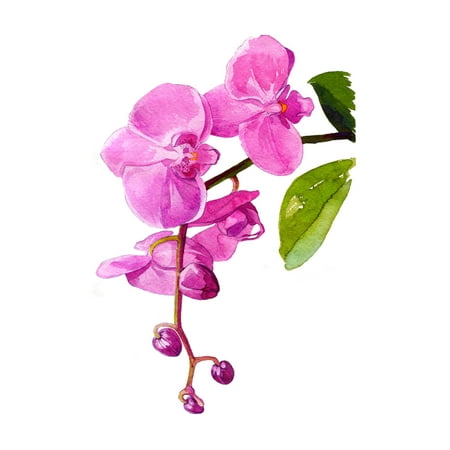 - Watercolor Orchids Floral Artwork Wall Decor Print Size (8x10, 11x17, 13x19 Inches)