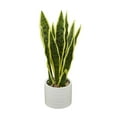 thumbnail image 5 of DecMode 17" Artificial Snake Plant in Realistic Leaves and White Porcelain Pot, 5 of 7