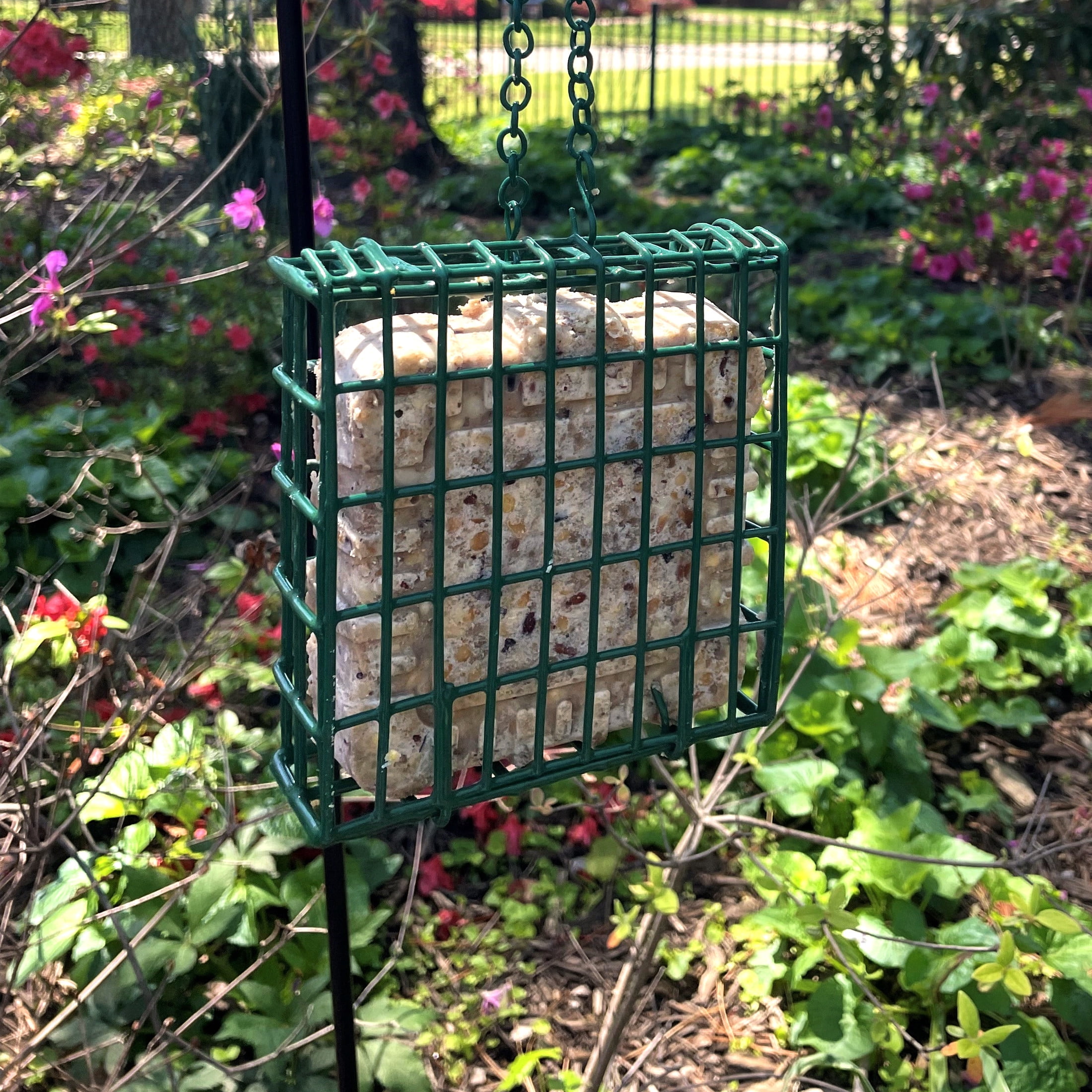 Pennington Feeding Frenzy EZ Fill Suet Basket Wild Bird Feeder, Green, 2 x 5.25 Inch x 5.25 Inch
