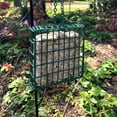 thumbnail image 6 of Pennington Feeding Frenzy EZFILL Suet Basket Bird Feeder for Suet Cakes for Wild Birds, Green, 2 x 5.25 x 5.25 Inches, 6 of 8